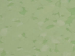 GEMMANEW PVC地板 PVC同质透心地板 T级耐磨 PVC卷材地板 BC0602