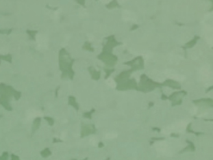 GEMMANEW PVC地板 PVC同质透心地板 T级耐磨 PVC卷材地板 BC0604