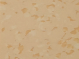 GEMMANEW PVC地板 PVC同质透心地板 T级耐磨 PVC卷材地板 BC0618