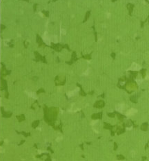 GEMMANEW PVC地板 PVC同质透心地板 T级耐磨 PVC卷材地板 BC0624