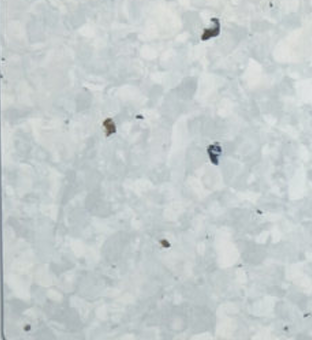 GEMMANEW PVC地板 PVC同质透心地板 T级耐磨 PVC卷材地板 BC2055
