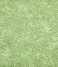 GEMMANEW 洁玛 PVC多层复合卷材地板 威格 WEGO 防滑防火 耐磨 学校地板 WG5859